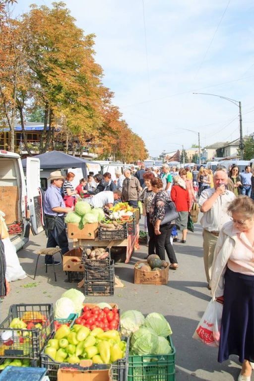 На аграрной ярмарке в Оргееве овощи продают дешевле, чем на рынке