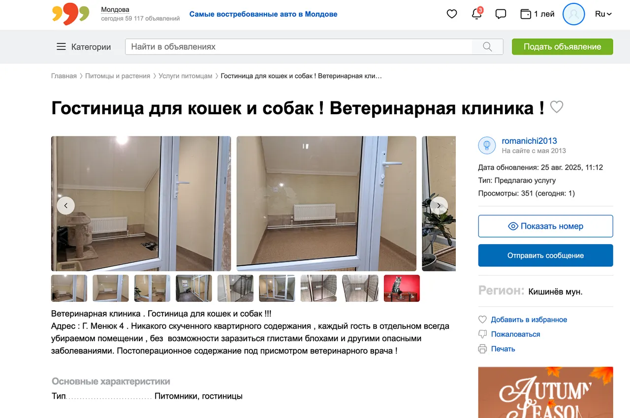 В Молдове заметно вырос интерес к услугам для животных: груминг и отели