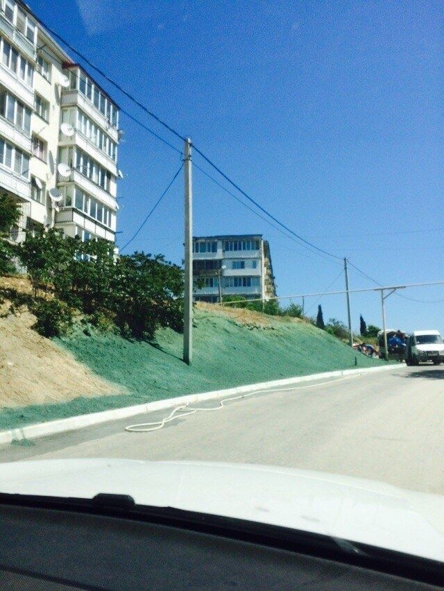 Ruşii vopsesc pământul verde înainte de vizita lui Medvedev