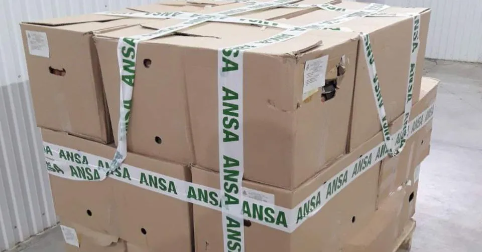 ANSA изъяла из торговли партию яиц с сальмонеллой