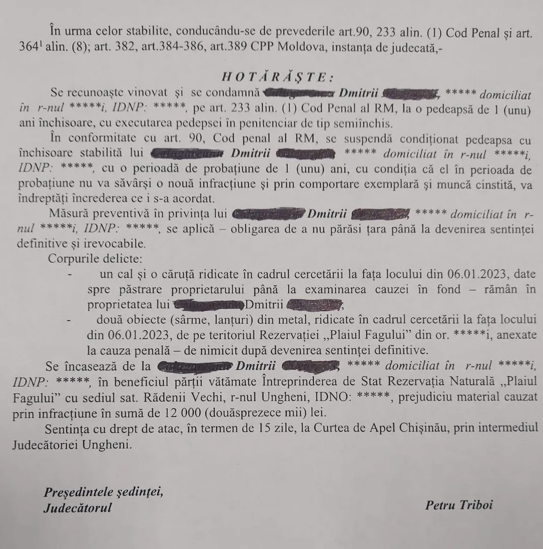 Мужчину приговорили к году тюрьмы за убийство косули в Ниспоренском районе