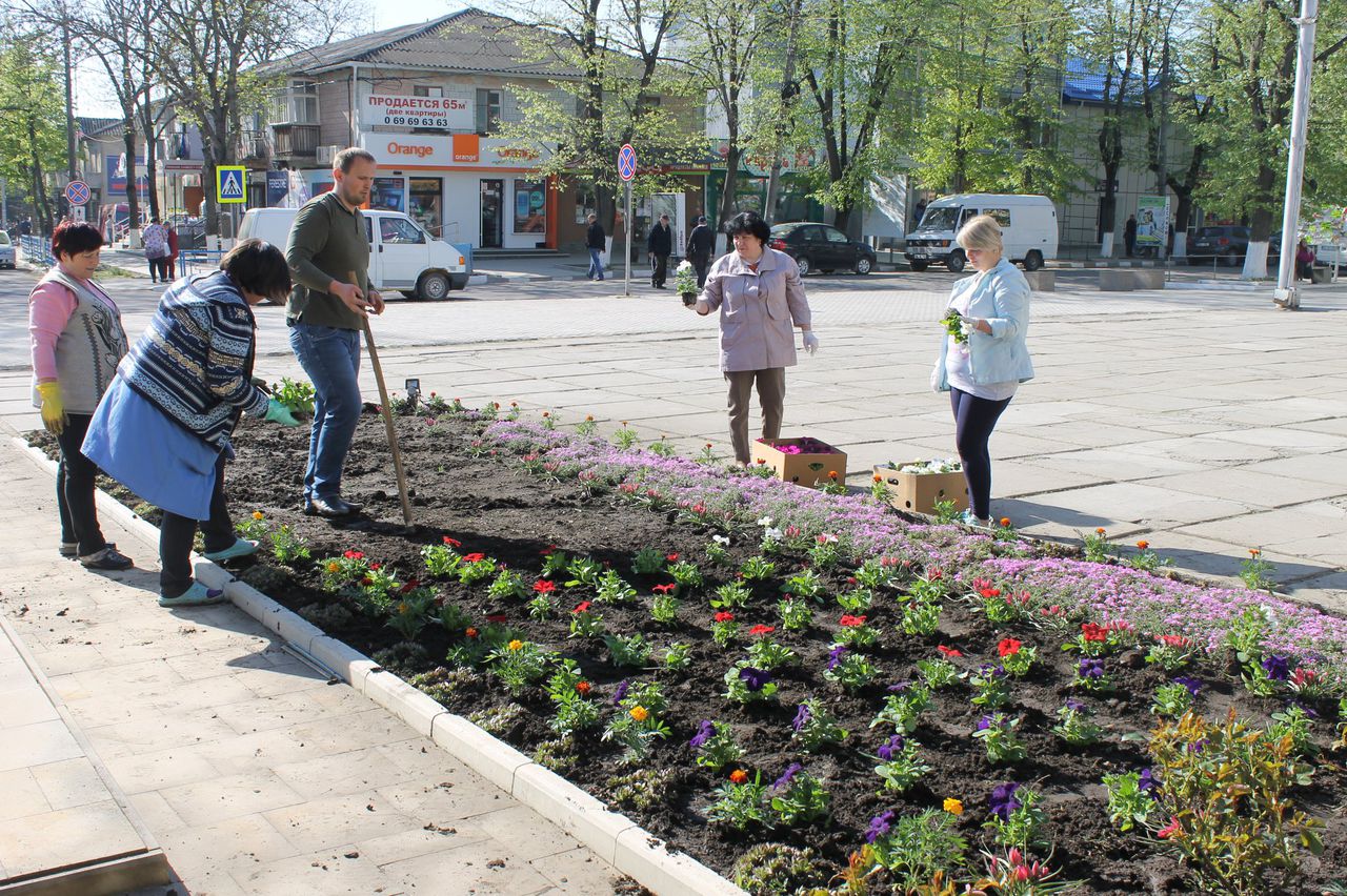 В Глодянах вслед за Кишиневом, высадили цветы в клумбах