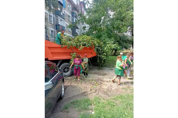 В Кишиневе убрали более 3 000 поврежденных непогодой деревьев