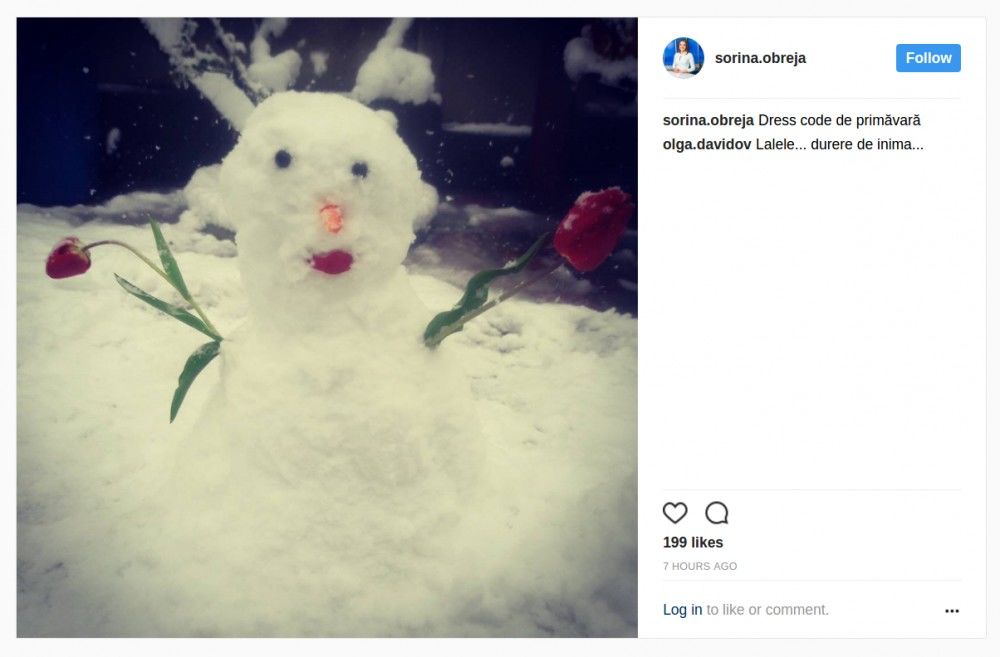 „Catastrofa meteorologică” prin ochii vedetelor autohtone