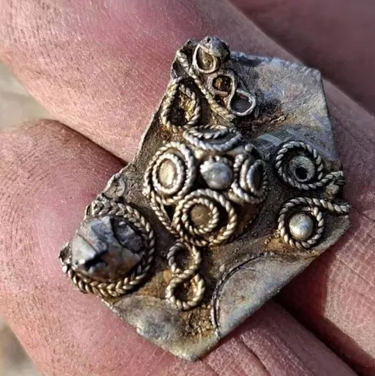 В Норвегии случайно нашли рекордную коллекцию монет эпохи викингов