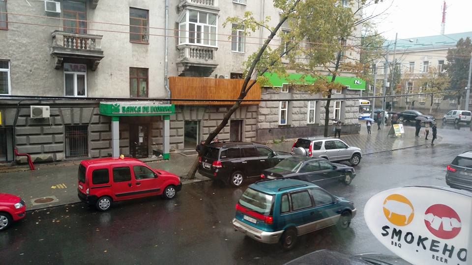 Un copac stă să cadă pe strada Vasile Alecsandri, dar s-a „oprit” într-o Toyota Land Cruiser