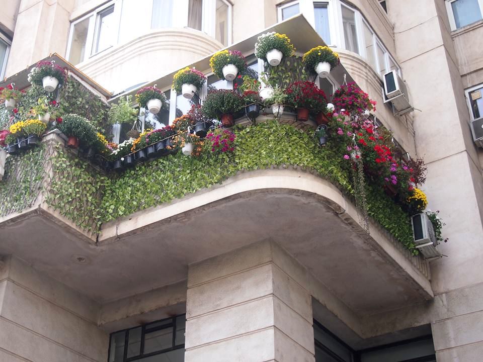 De invidiat: Cum arată cel mai frumos balcon din București iarna