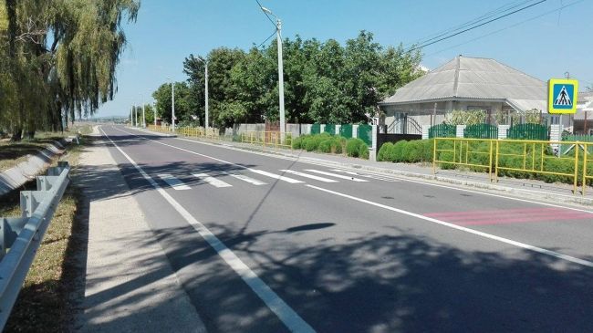 Мать и 7-летний ребенок погибли под колесами автомобиля на пешеходном переходе