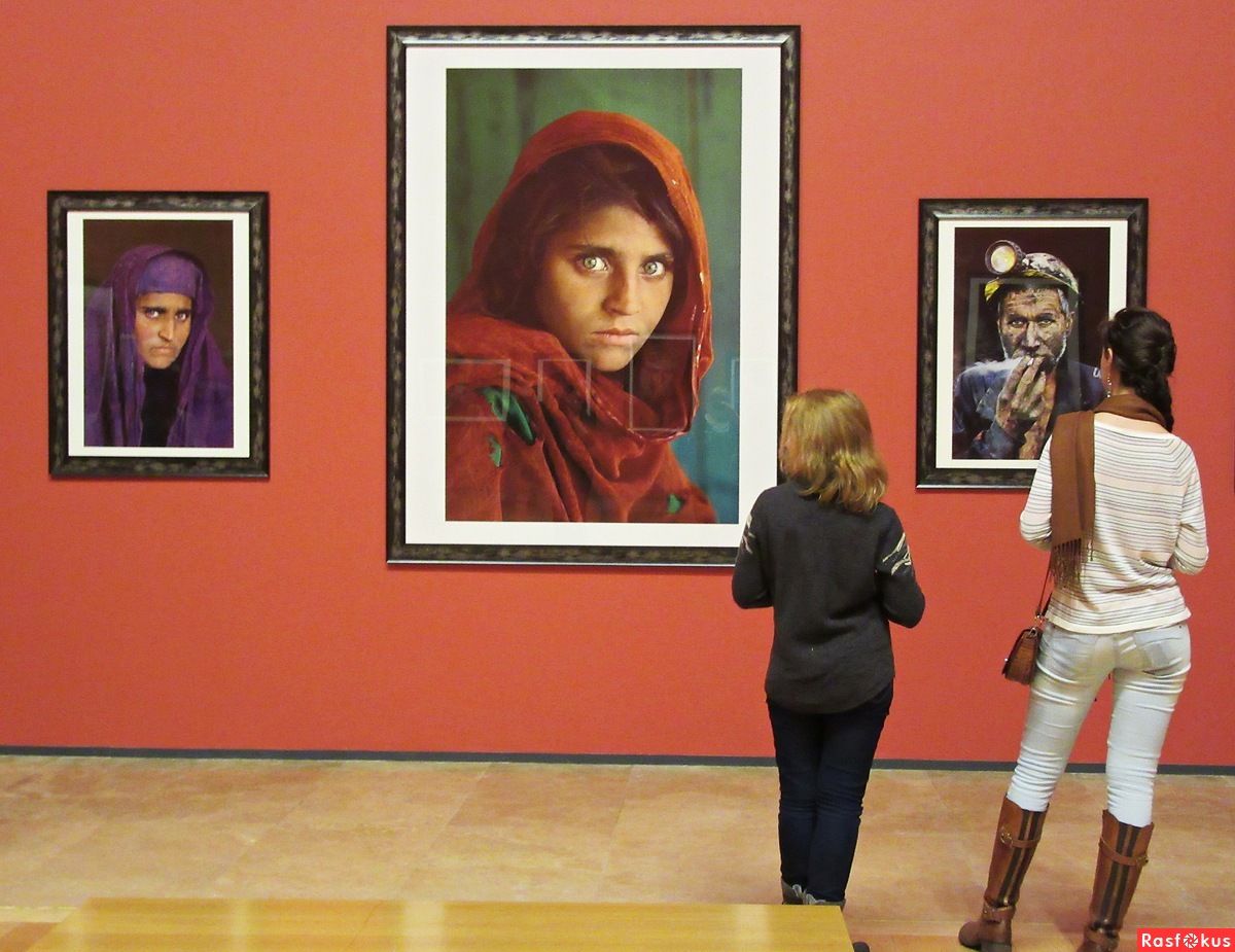 В Пакистане задержали "афганскую девушку" с обложки National Geographic