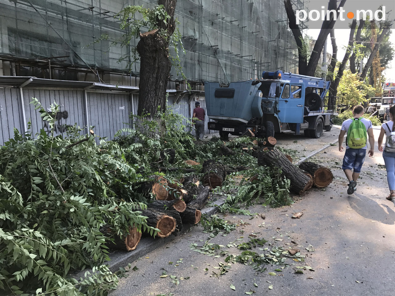 Cum sunt tăiaţi arborii de pe bulevardul Ştefan ce Mare şi Sfânt