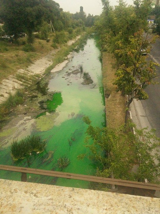 Cum arată apa din râul Bîc după câteva zile de caniculă