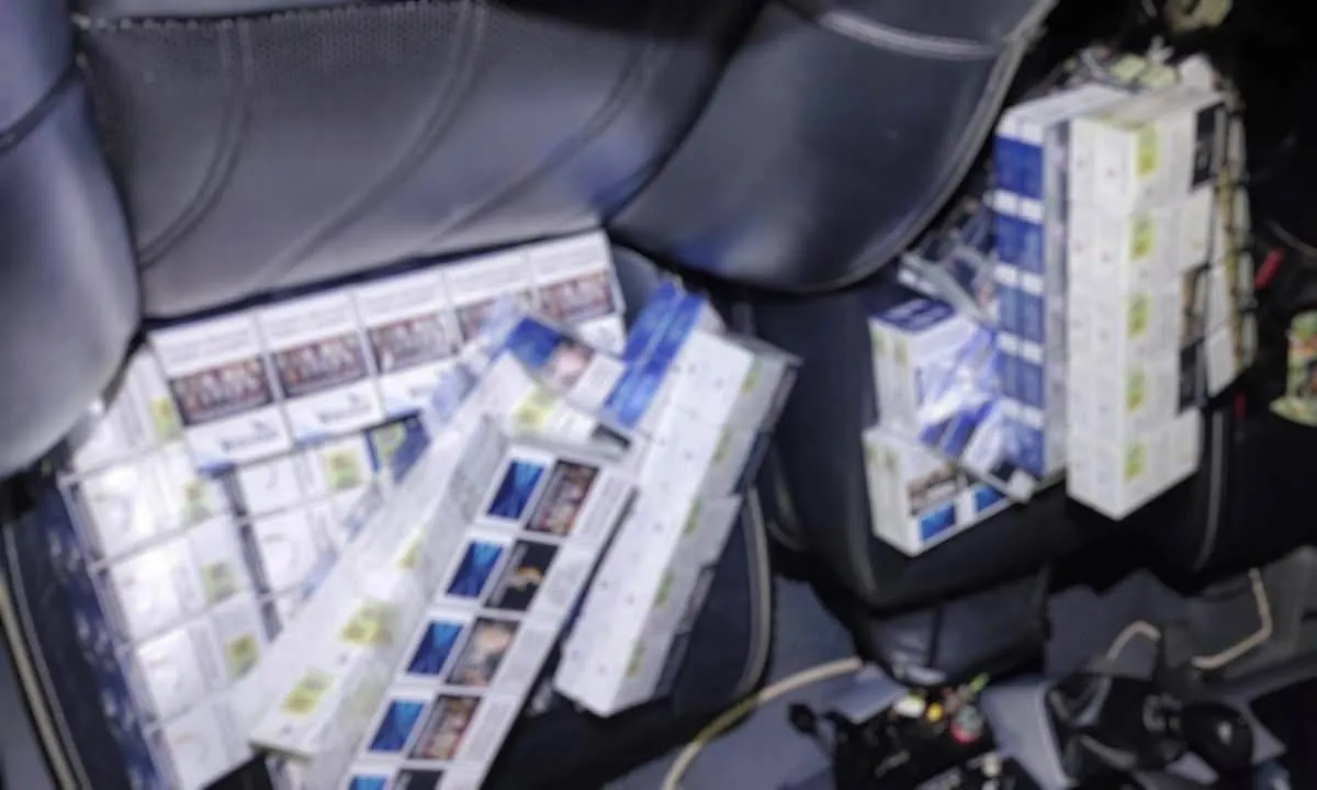 c49a5c227a74f3e1aa131758410222e7