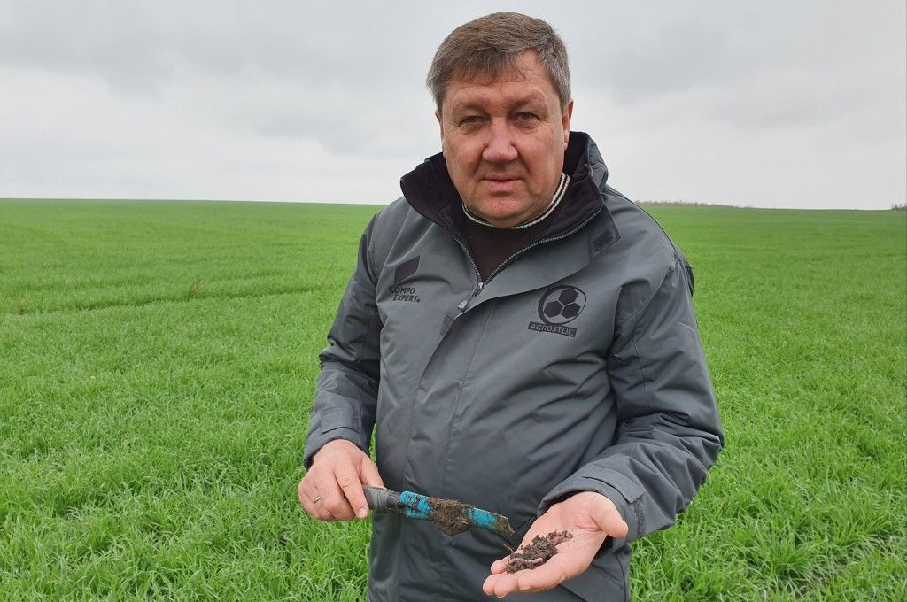 Агро-Панфил: Как получить плодородную почву при минимальных затратах