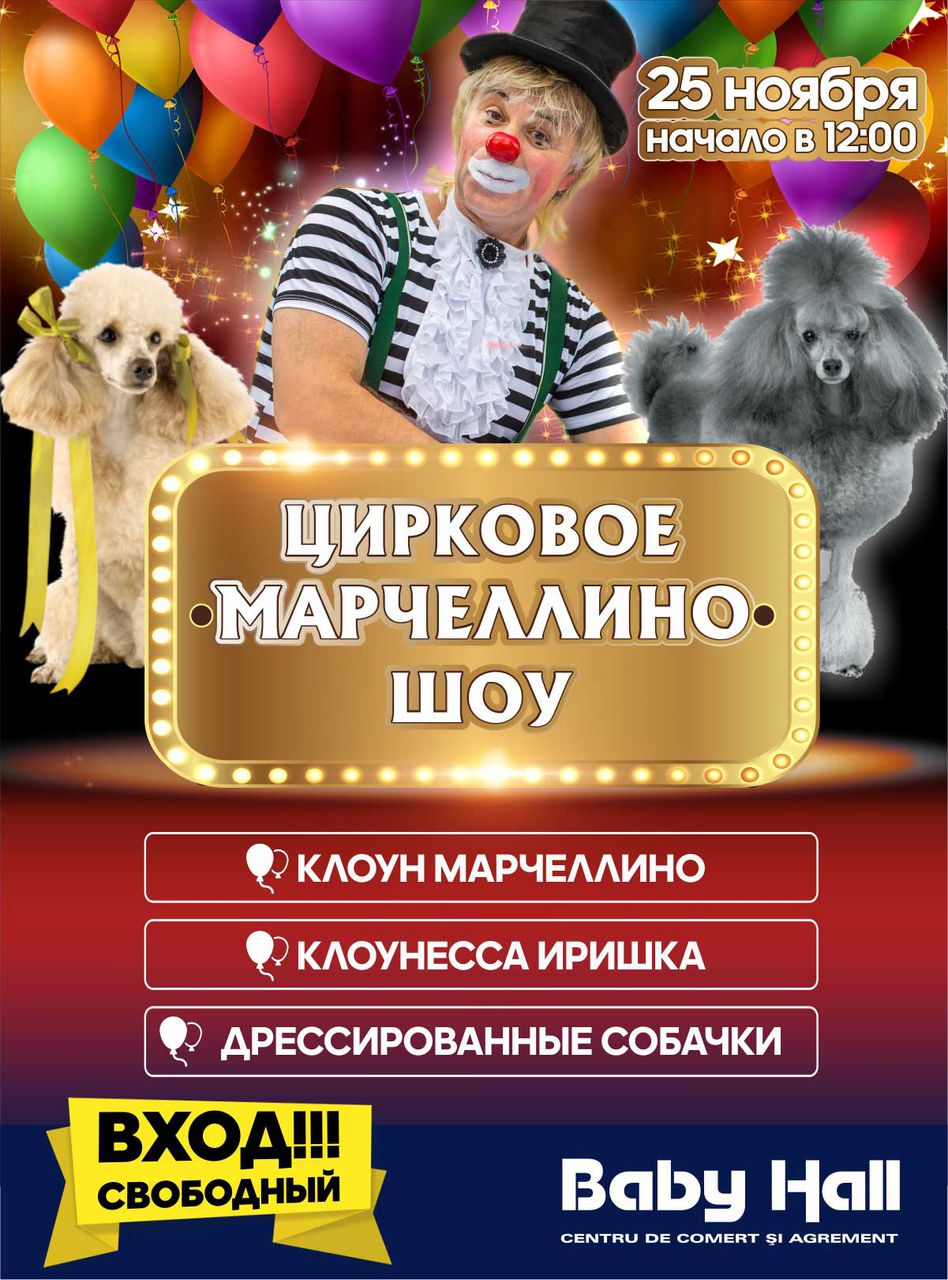 Baby Hall: субботнее Марчеллино-шоу и  дрессированные собачки ®