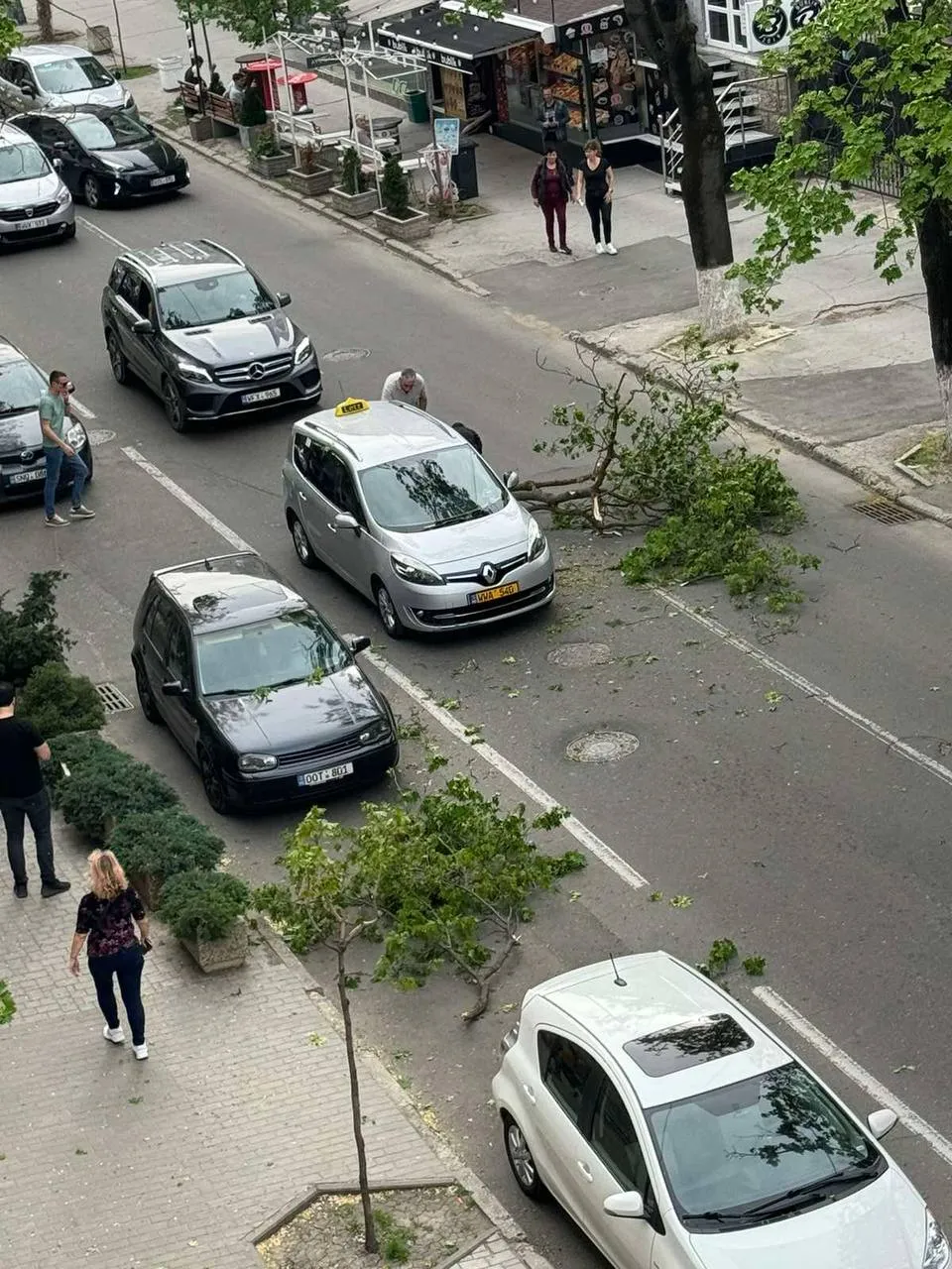 В Кишиневе из-за сильного ветра на автомобиль упала ветка