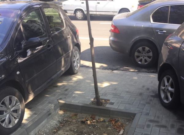 На бульваре Штефана чел Маре деревце "не поместилось" в лунку