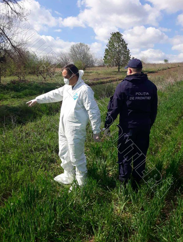 Пограничники задержали украинца, пытавшегося незаконно попасть в Молдову