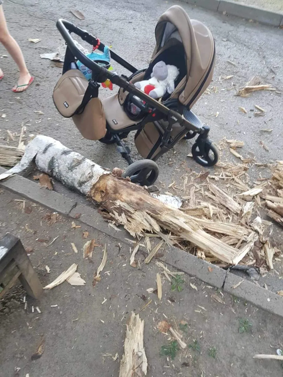 В Кишиневе дерево упало на скамейку, на которой сидела мать с ребенком