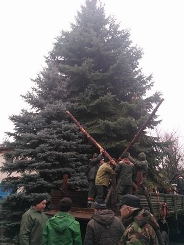 Появились фотографии елки, которую Сильвия Раду купит для кишиневцев