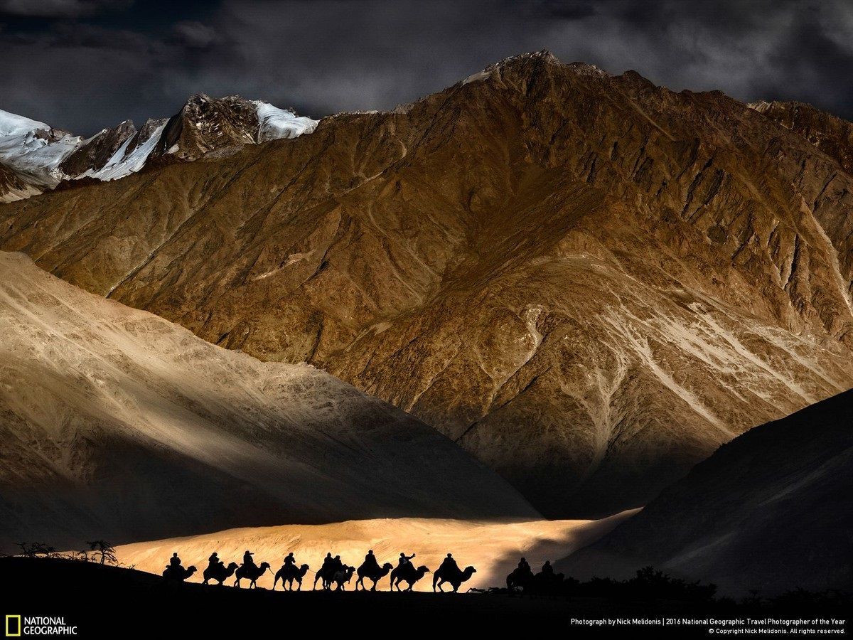 National Geographic показал лучшие фото природы