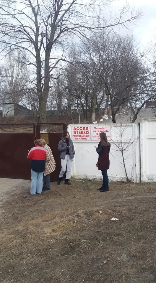 Волонтёр обнаружила содранную с собаки шкуру рядом с Некрополем