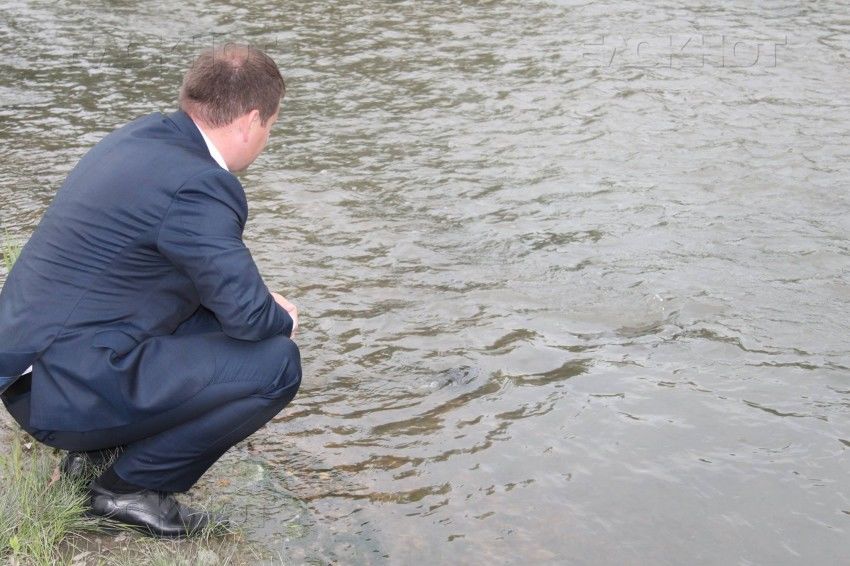 Мунтяну дал кличку найденной черепахе и отпустил ее в воду