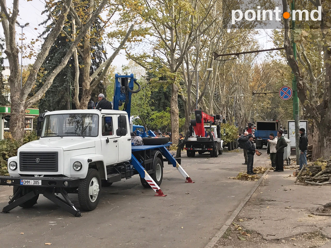 O porțiune a străzi 31 August, împânzită de crengi tăiate