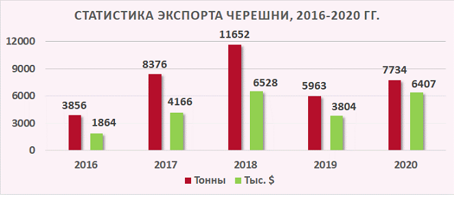 Садоводы: Экспорт черешни в Россию и Беларусь ниже, чем в прошлом году