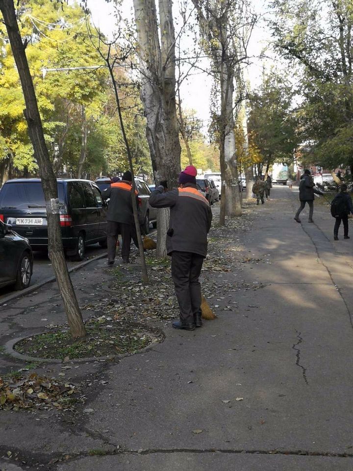 Чебан: Прошу кишиневцев, по возможности, очищать дворы от упавшей листвы