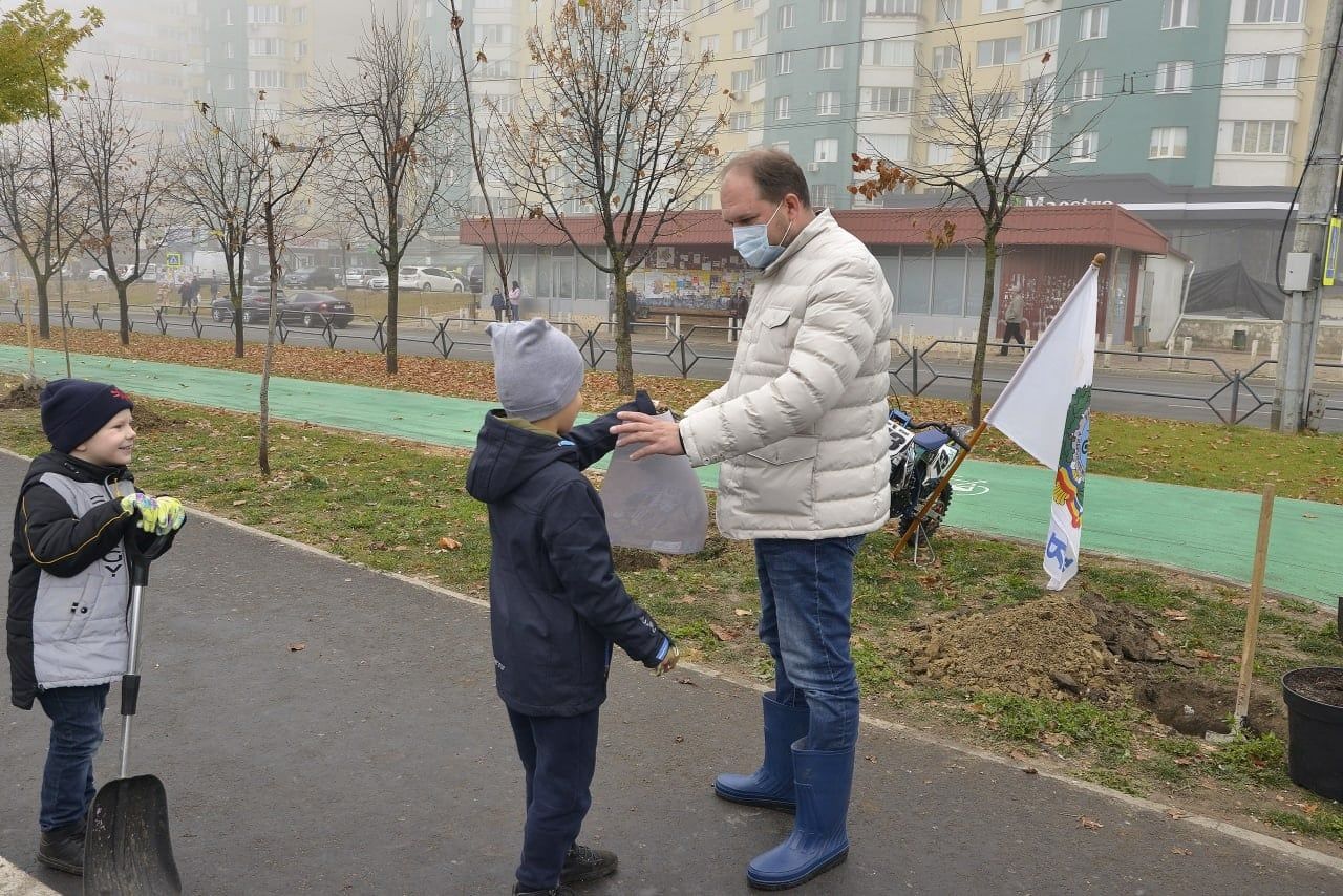На Чеканах прошла новая акция по посадке деревьев