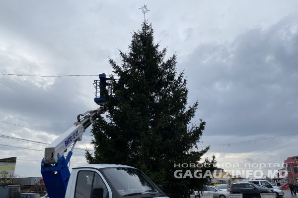 В Комрате нарядили новогоднюю елку