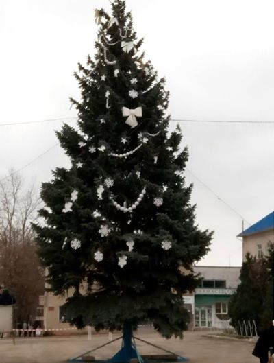 Любоваться новогодней елкой в Дрокии можно даже онлайн