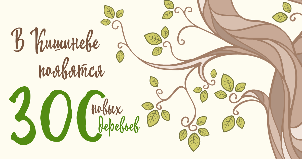 Verde.md: В Кишиневе появится 300 новых деревьев