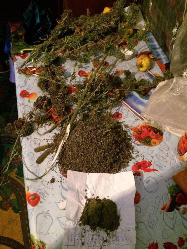 Percheziții în ţară. Droguri de peste 2 milioane de lei, sechestrate