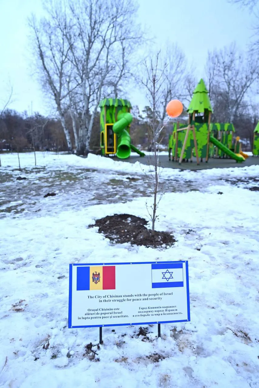 Ион Чебан и посол Израиля в Молдове вместе посадили дерево в парке
