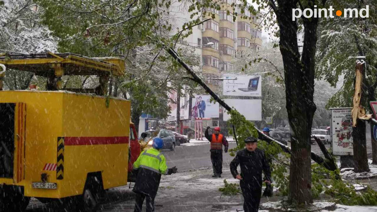 Не выдержав мокрого снега, в Кишиневе стали падать деревья
