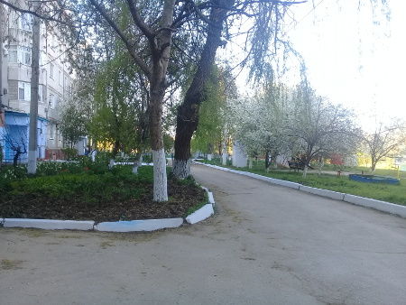 В Чадыр-Лунге выбрали самые благоустроенные дворы города