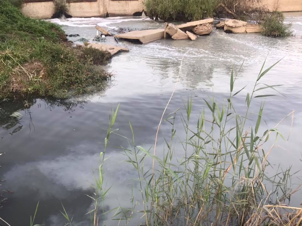 Бывшая глава Apă-Canal назвала возможную причину сильной вони в Кишиневе