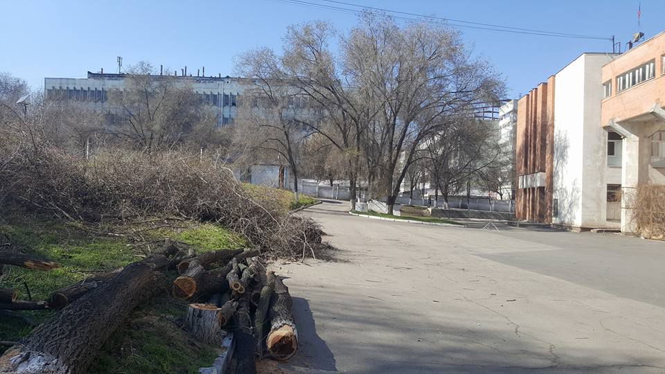 У ДК железнодорожников на Ботанике неизвестные пилят деревья