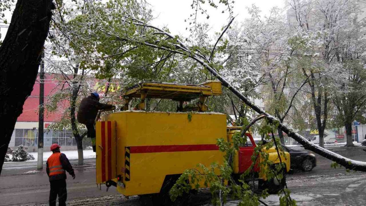 Zăpada doboară copacii în Capitală. Sute de locuitori au rămas fără energie electrică