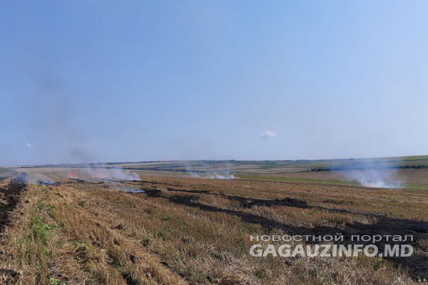 В Ферапонтьевке сгорело поле в несколько гектар