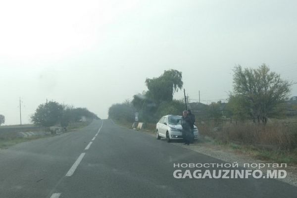 В Гагаузии корова стала причиной столкновения двух автомобилей