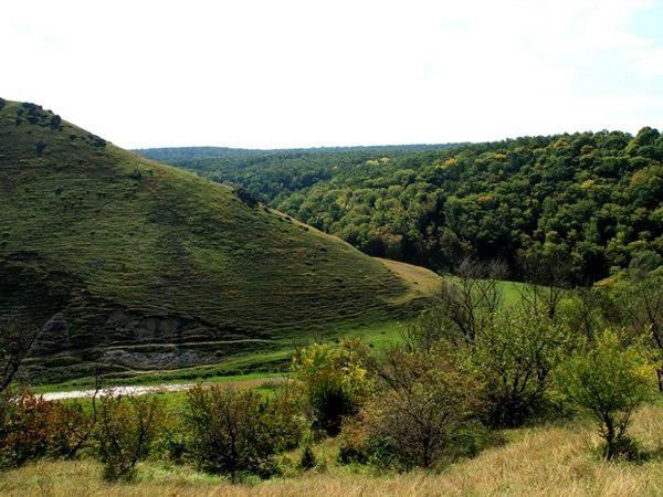 Заповедник Нижний Прут внесен в реестр ЮНЕСКО