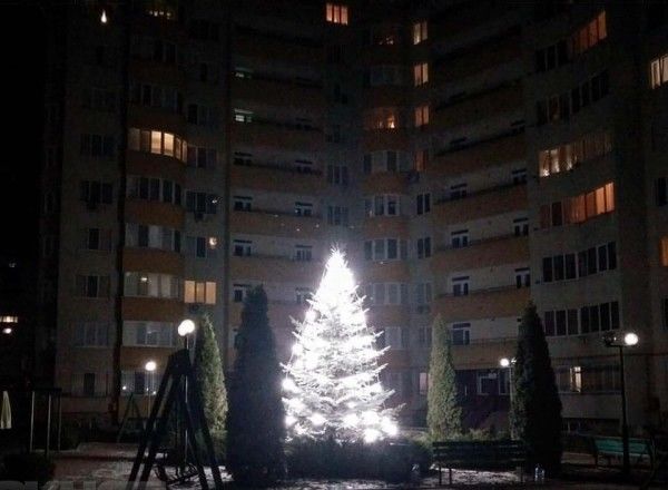 Жильцы домов на Буюканах нарядили елку в своем дворе