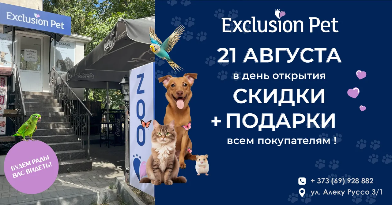 Exclusion Pet открывает второй магазин в Кишиневе: скидки и розыгрыш
