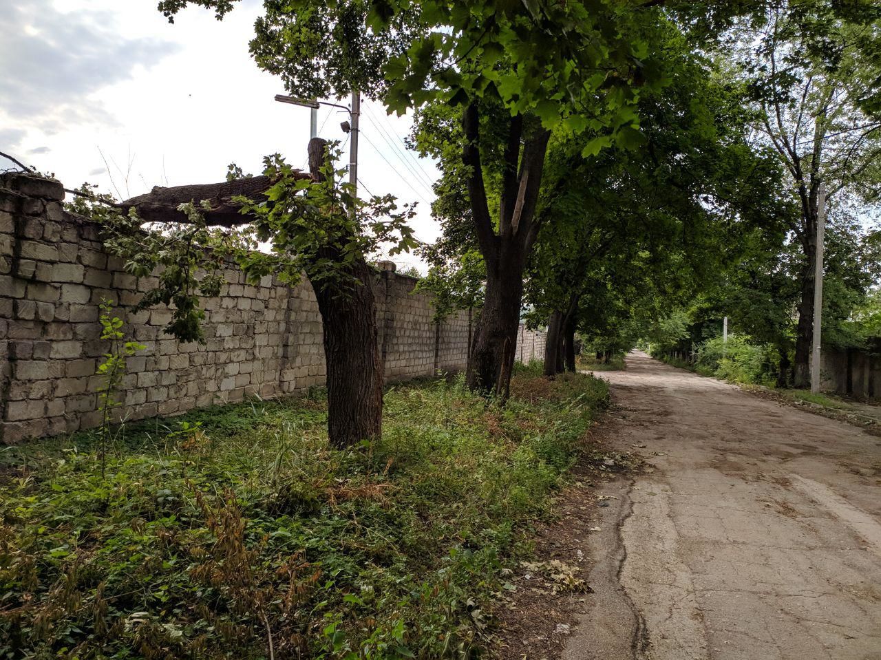 Спустя неделю после урагана в Бельцах остались поваленные деревья