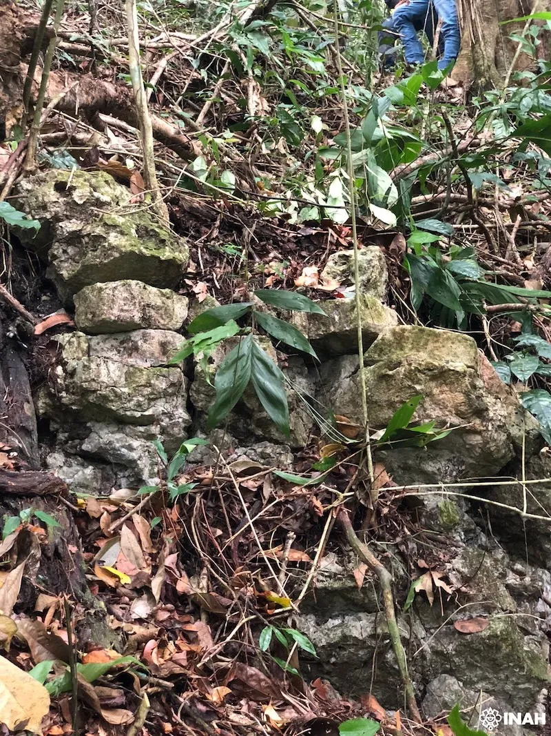 Un oraș pierdut în junglă al indienilor mayași, descoperit în Mexic