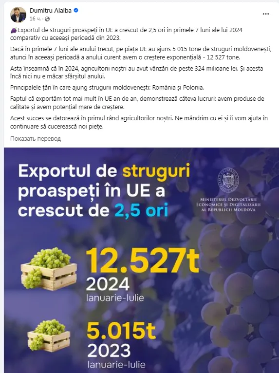 Exportul de struguri moldovenești către Uniunea Europeană a crescut