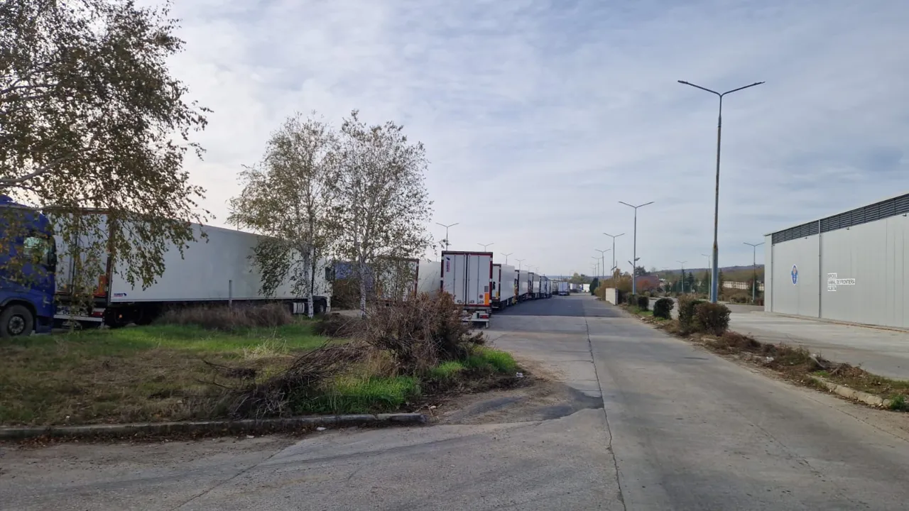 Slusari: Fructele se strică în camioane la Leușeni. Un singur vameș lucrează pe două culoare