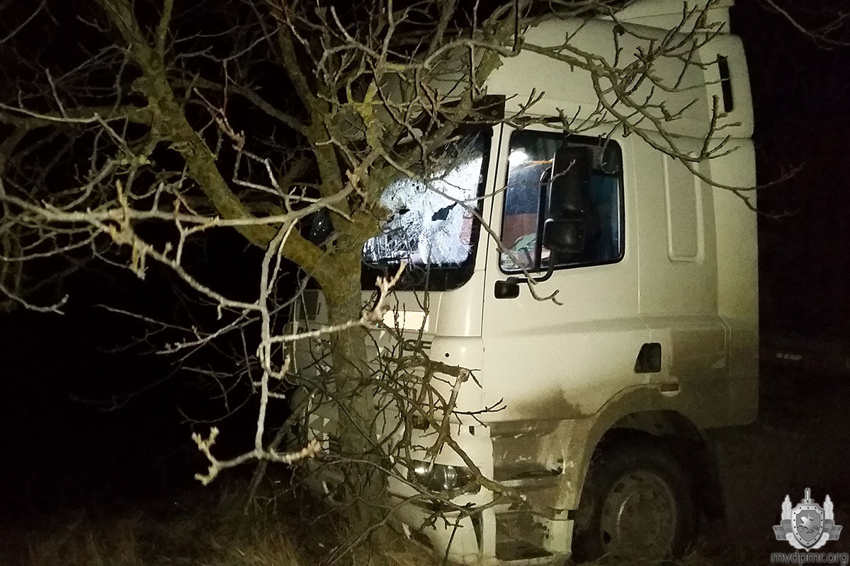 В Слободзейском районе фура врезалась в дерево